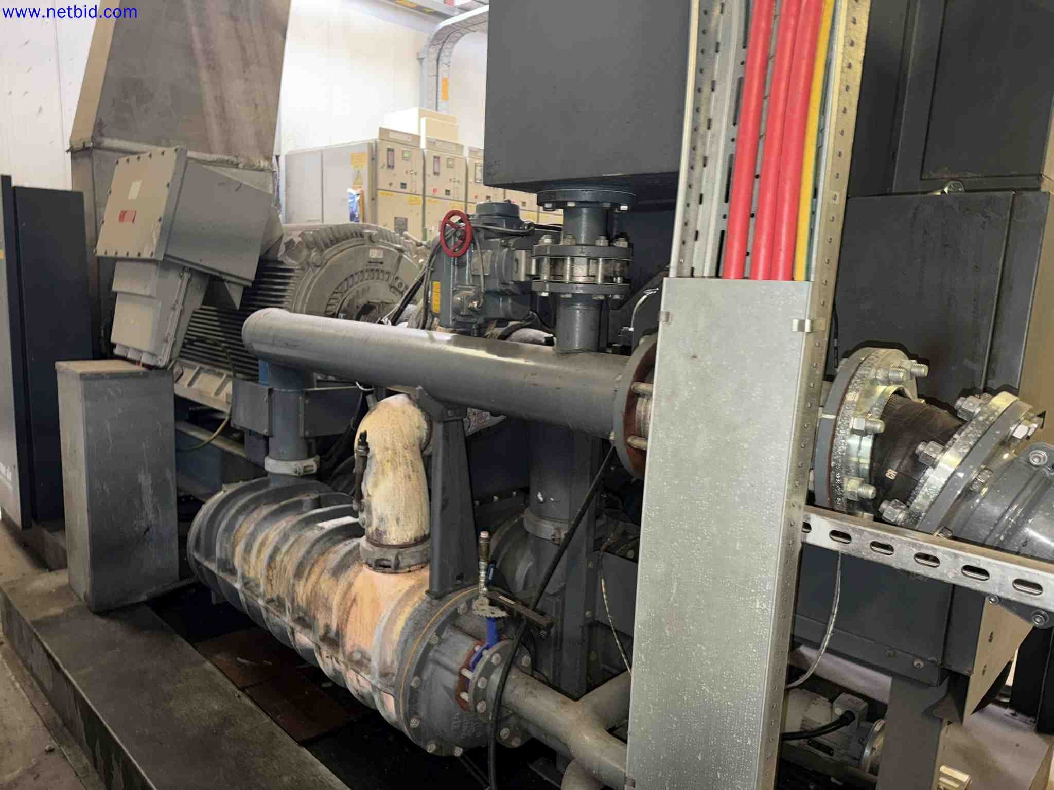 Plant closure at Balta Industries (Belgium) - production facilities of a carpet manufacturer-2