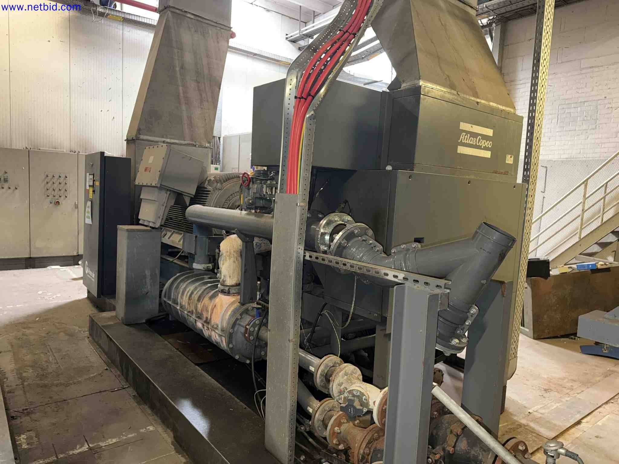Plant closure at Balta Industries (Belgium) - production facilities of a carpet manufacturer-3