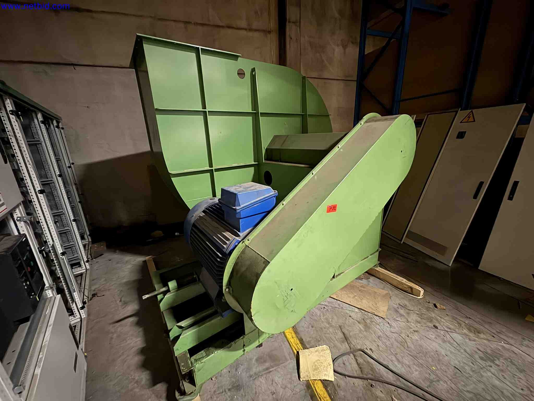 Uzavření závodu společnosti Balta Industries (Belgie) – výrobní závody výrobce koberců-1