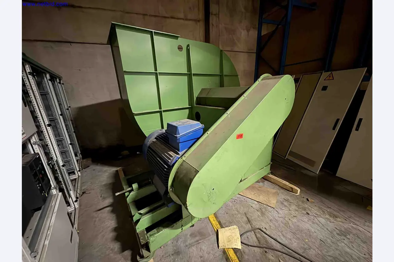 Uzavření závodu společnosti Balta Industries (Belgie) – výrobní závody výrobce koberců-1