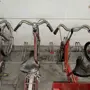 thumbnail-Plant closure at Balta Industries (Belgium) - production facilities of a carpet manufacturer-7
