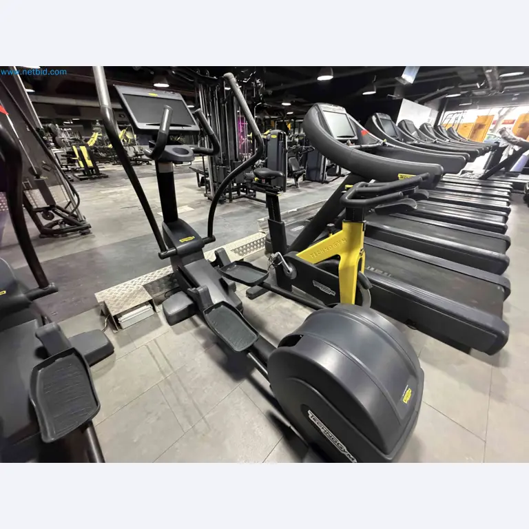 Auction of Used Technogym Gym Equipment – Professional Fitness Machines-12