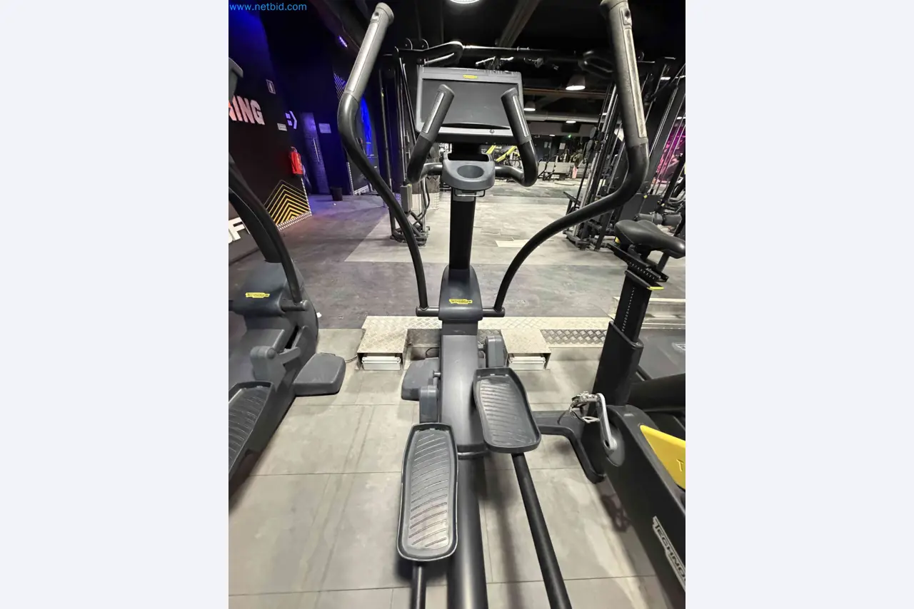Auction of Used Technogym Gym Equipment – Professional Fitness Machines-2