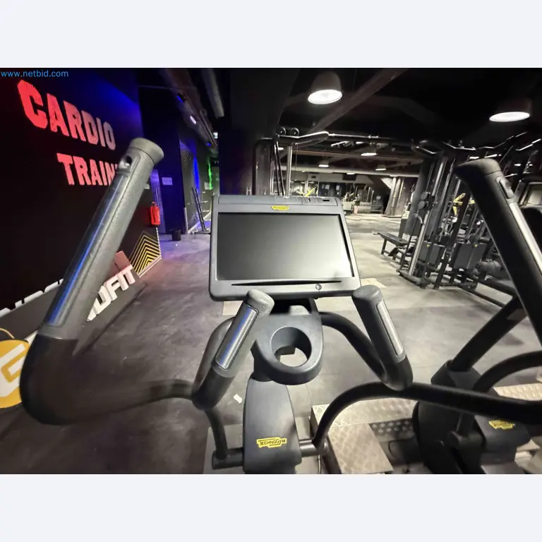 Auction of Used Technogym Gym Equipment – Professional Fitness Machines-3