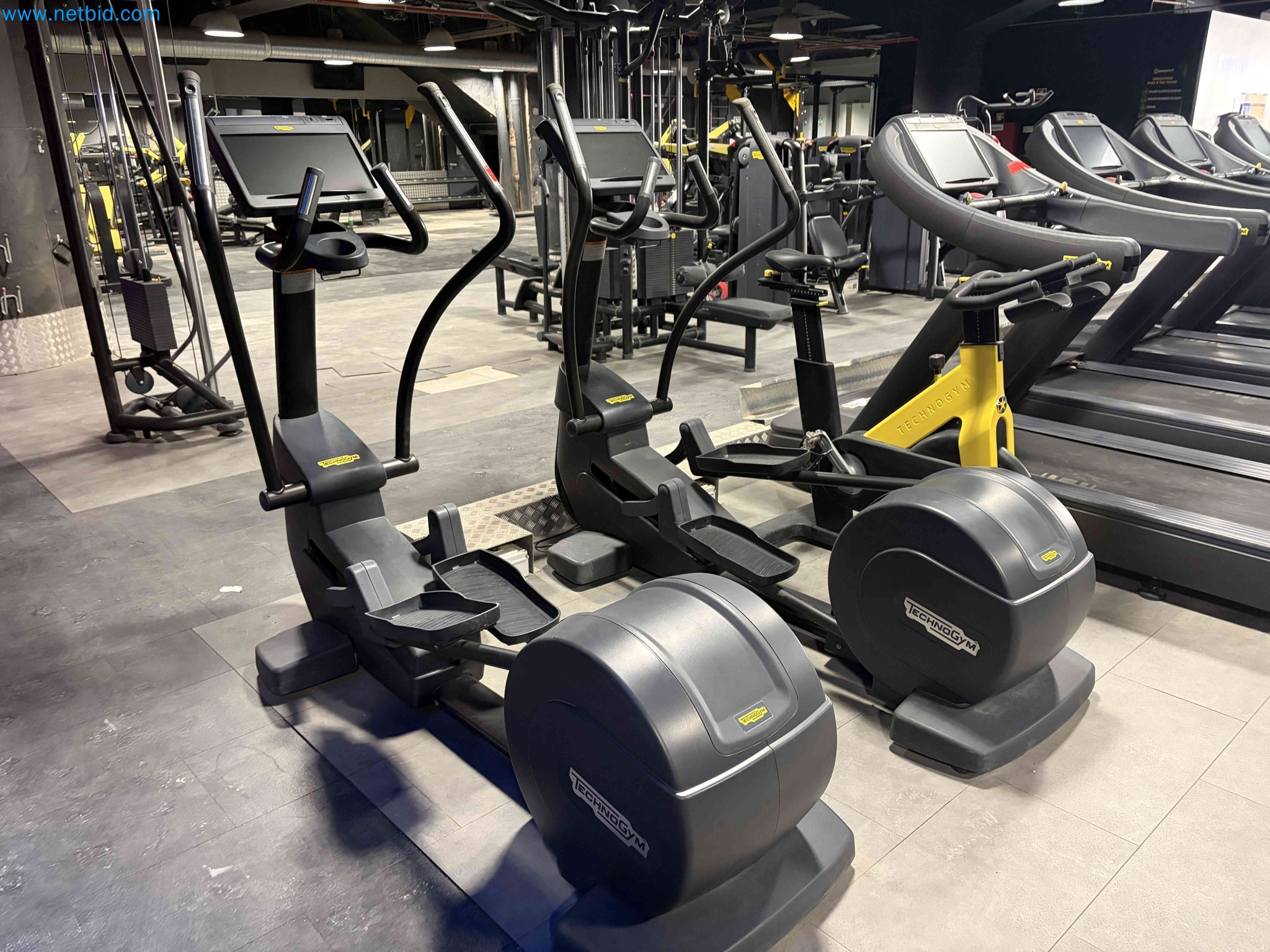 Auction of Used Technogym Gym Equipment – Professional Fitness Machines-6