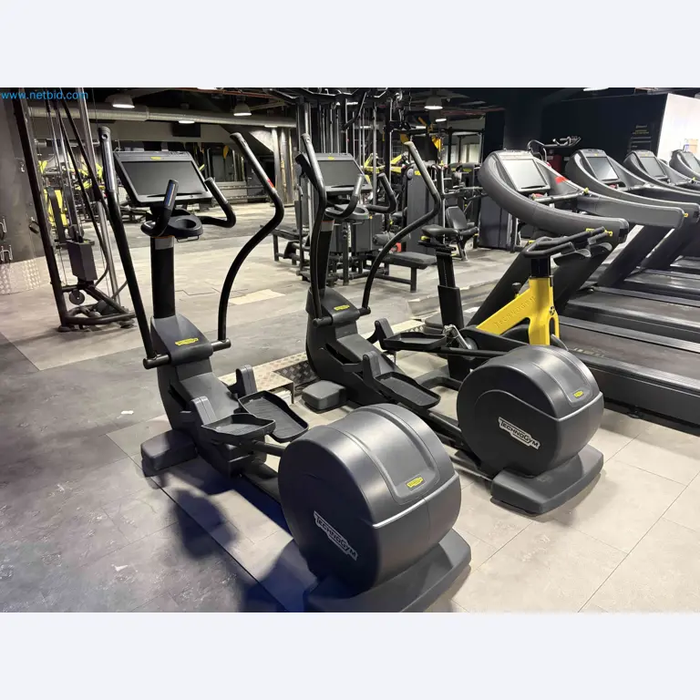Auction of Used Technogym Gym Equipment – Professional Fitness Machines-6