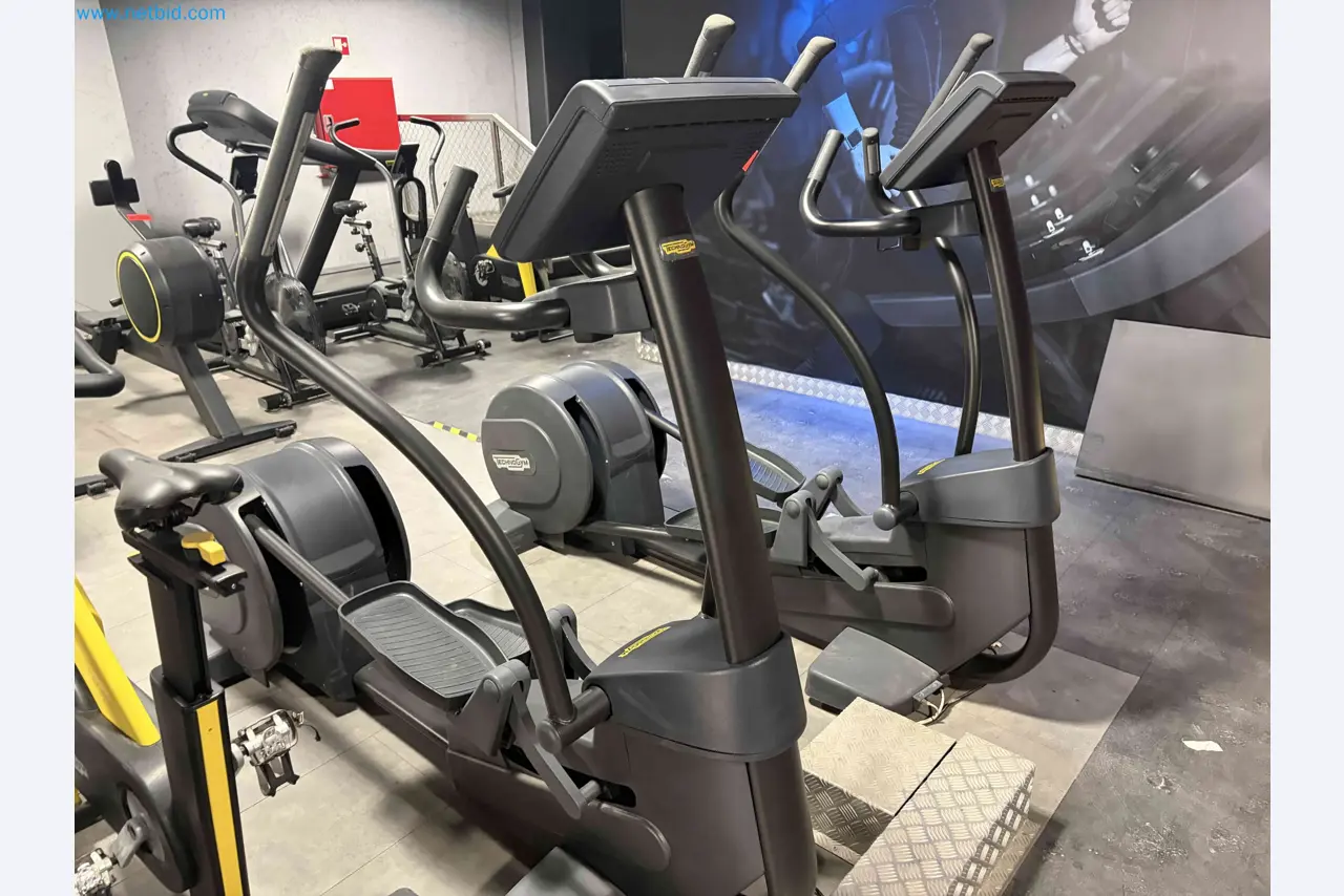 Auction of Used Technogym Gym Equipment – Professional Fitness Machines-12