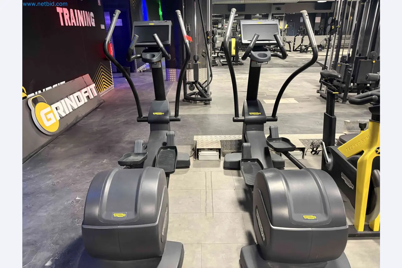 Auction of Used Technogym Gym Equipment – Professional Fitness Machines-14