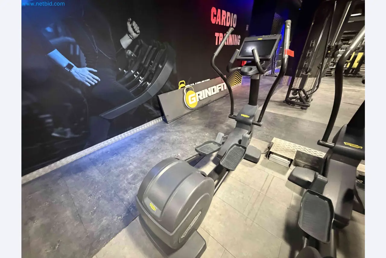 Auction of Used Technogym Gym Equipment – Professional Fitness Machines-1