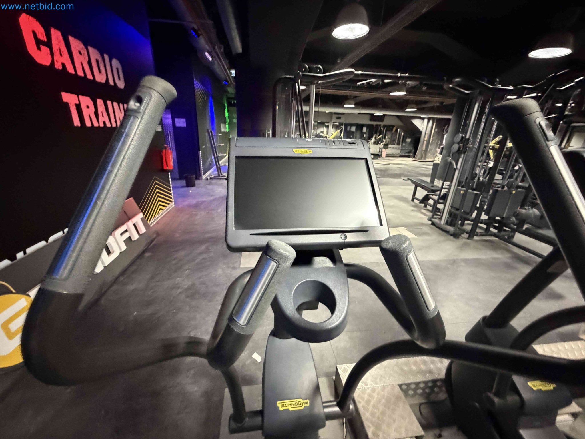 Auction of Used Technogym Gym Equipment – Professional Fitness Machines-4