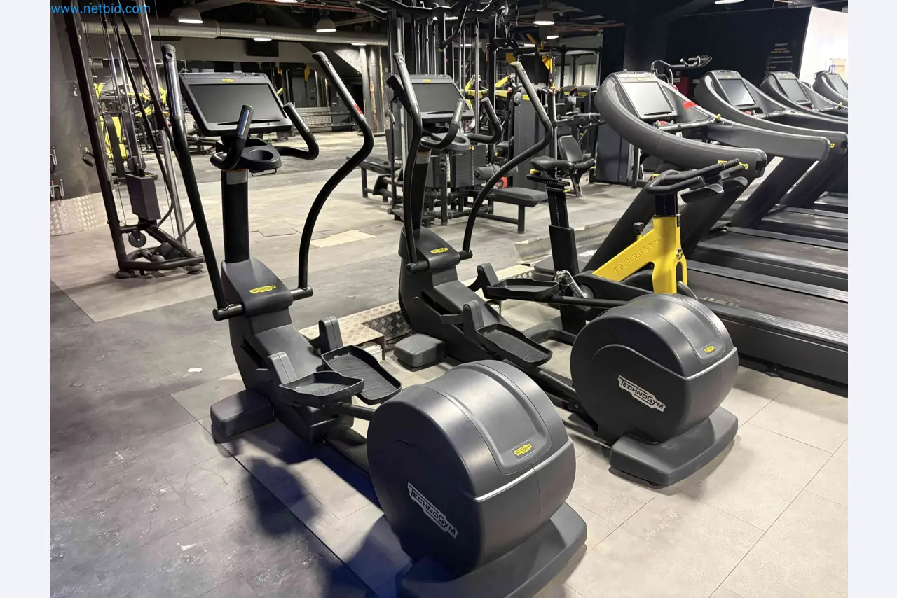 Auction of Used Technogym Gym Equipment – Professional Fitness Machines-7