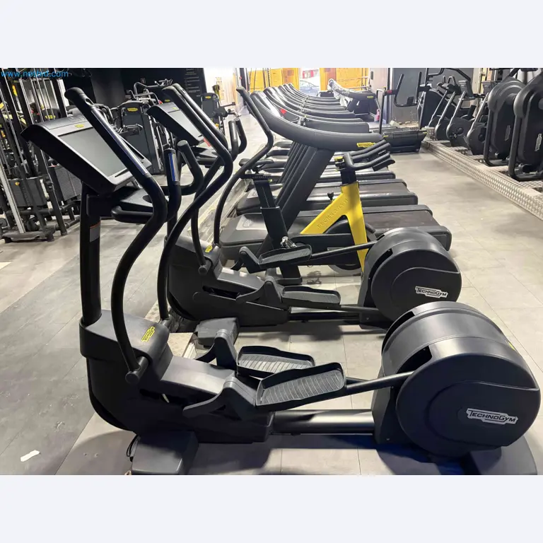 Auction of Used Technogym Gym Equipment – Professional Fitness Machines-9