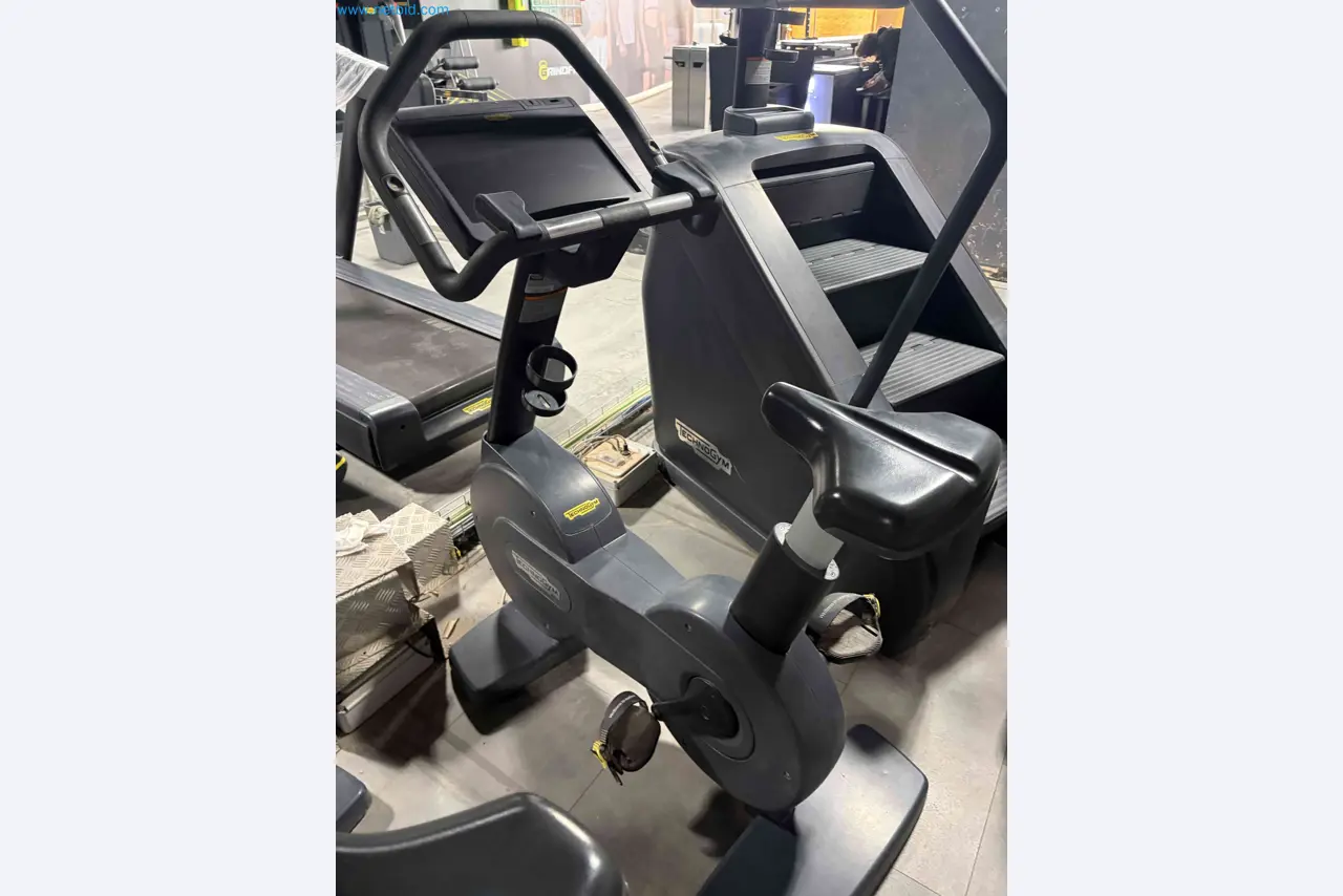 Auction of Used Technogym Gym Equipment – Professional Fitness Machines-2