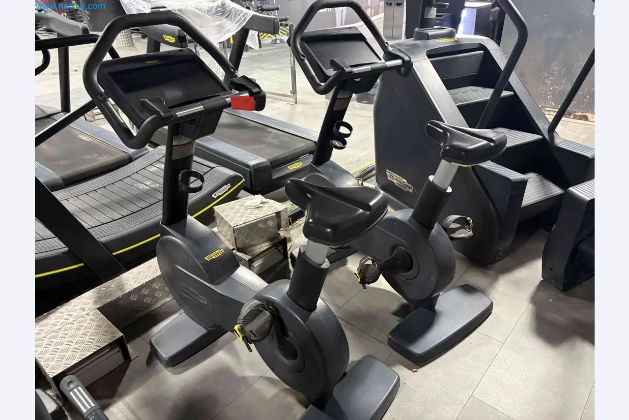 Auction of Used Technogym Gym Equipment – Professional Fitness Machines-4