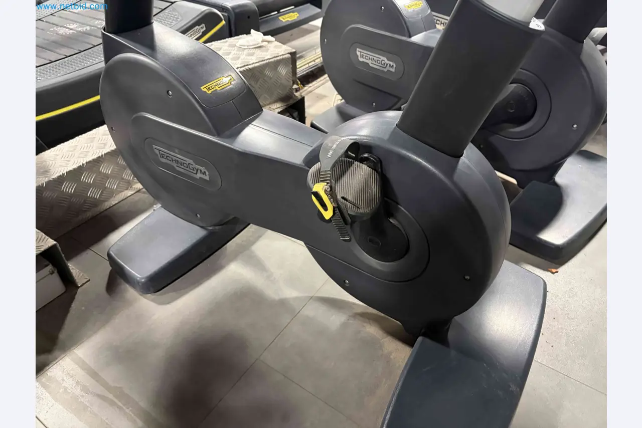 Auction of Used Technogym Gym Equipment – Professional Fitness Machines-7