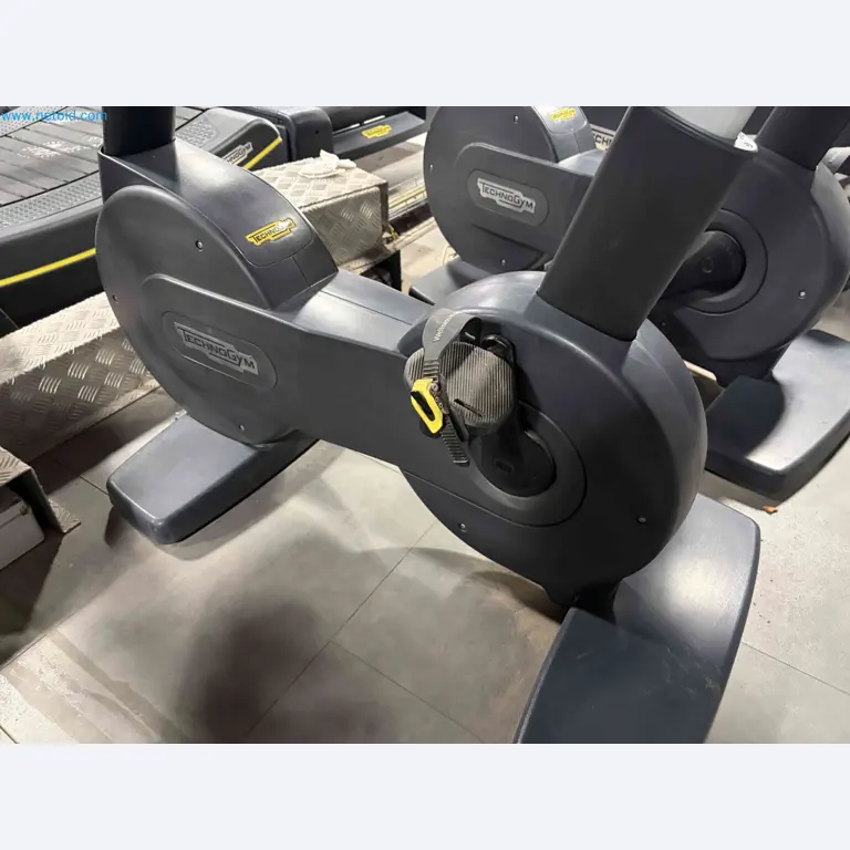 Auction of Used Technogym Gym Equipment – Professional Fitness Machines-7