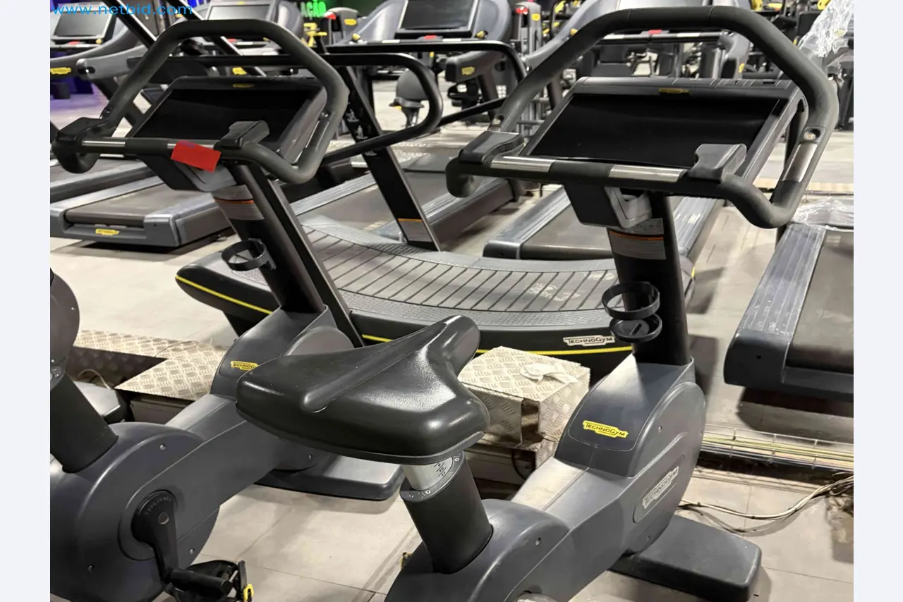 Auction of Used Technogym Gym Equipment – Professional Fitness Machines-1