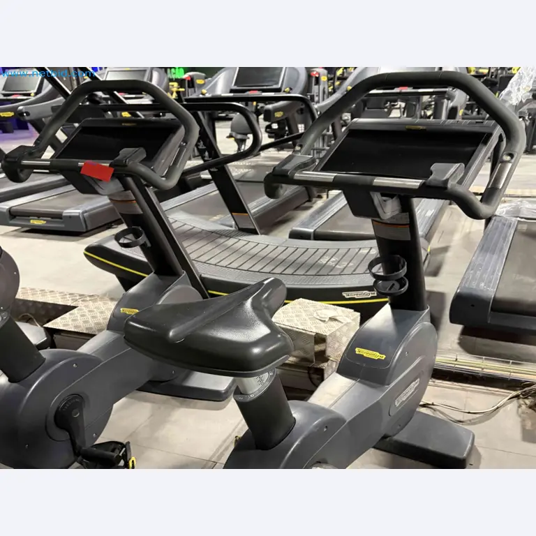 Auction of Used Technogym Gym Equipment – Professional Fitness Machines-1