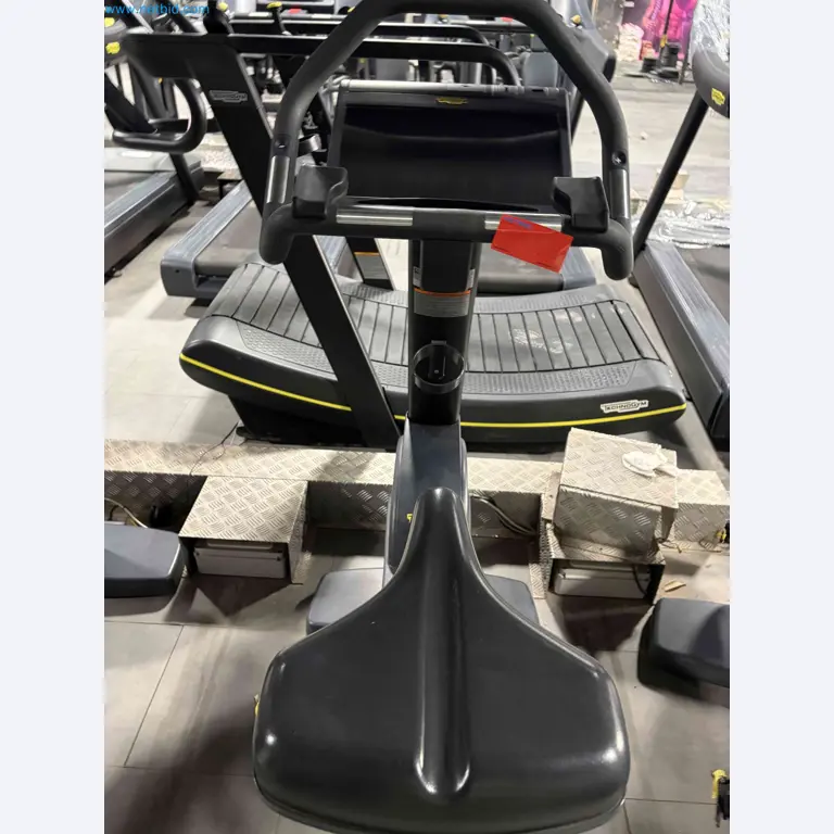 Auction of Used Technogym Gym Equipment – Professional Fitness Machines-6