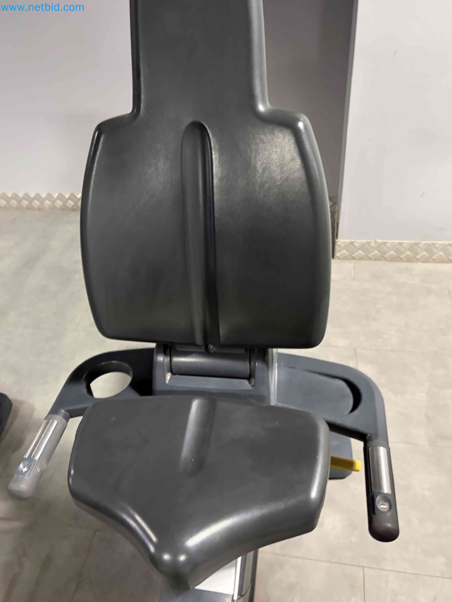 Auction of Used Technogym Gym Equipment – Professional Fitness Machines-10