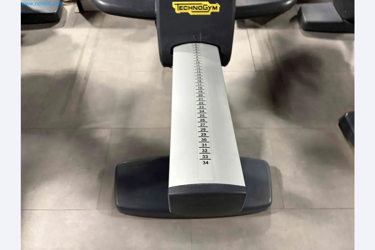 Auktion von gebrauchten Technogym-Fitnessgeräten – Professionelle Fitnessgeräte-12