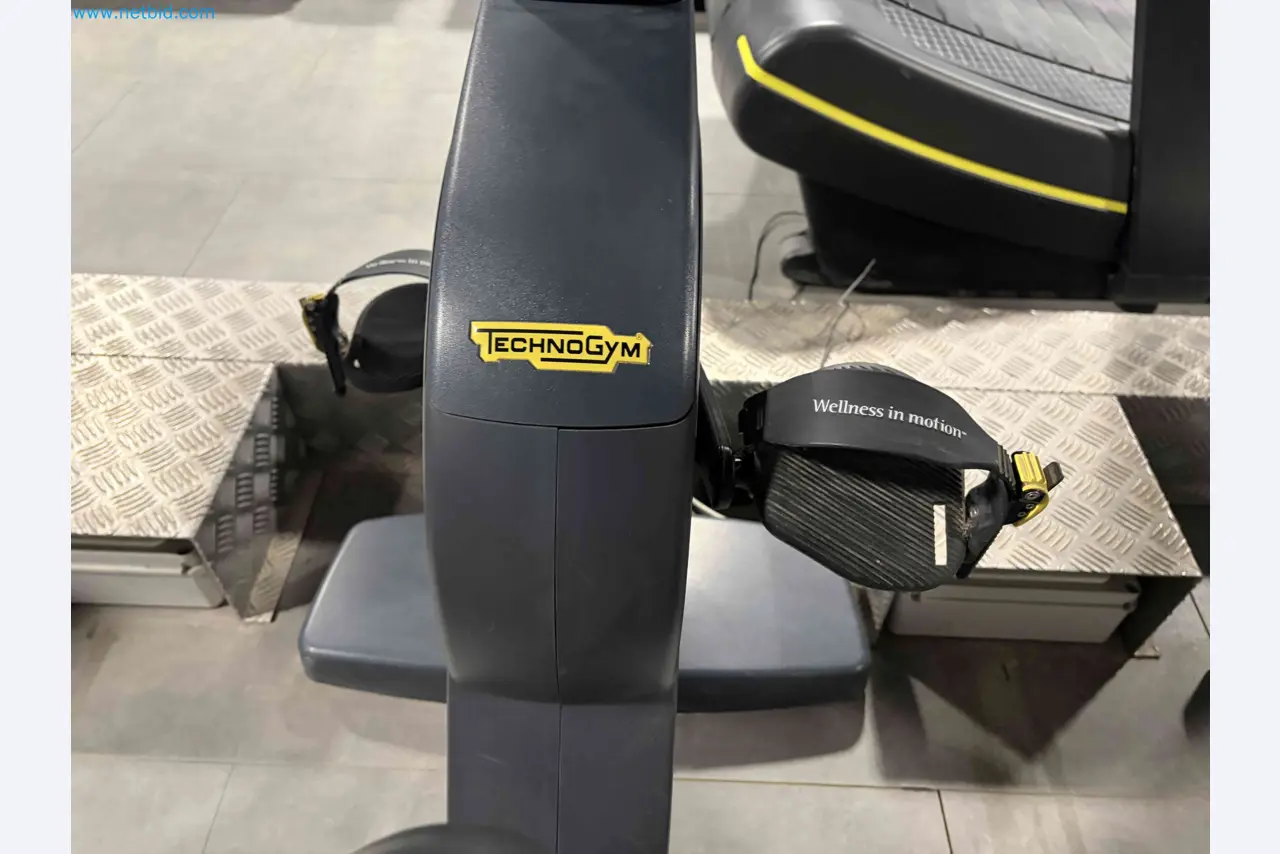 Auktion von gebrauchten Technogym-Fitnessgeräten – Professionelle Fitnessgeräte-17