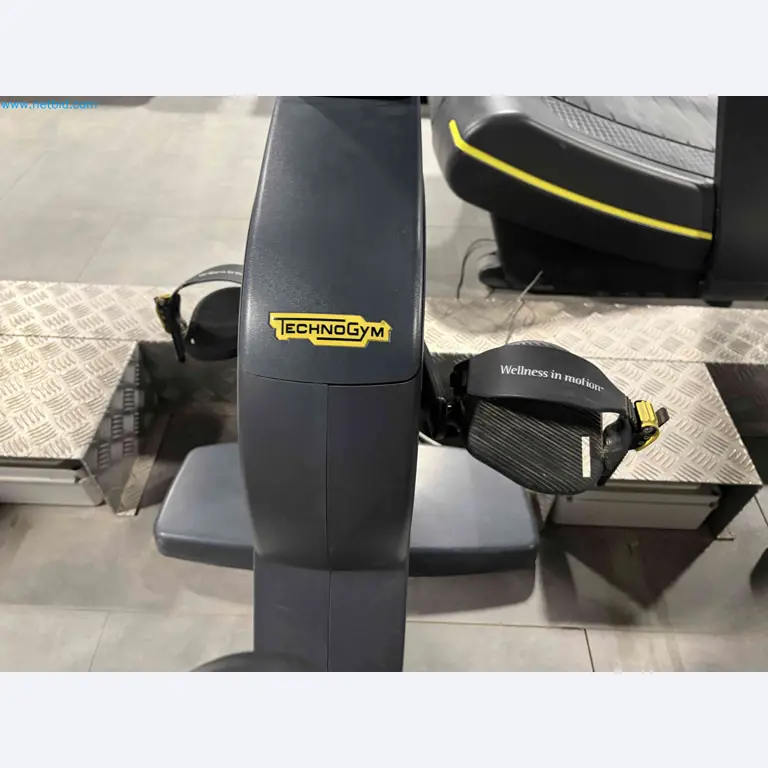 Auktion von gebrauchten Technogym-Fitnessgeräten – Professionelle Fitnessgeräte-17