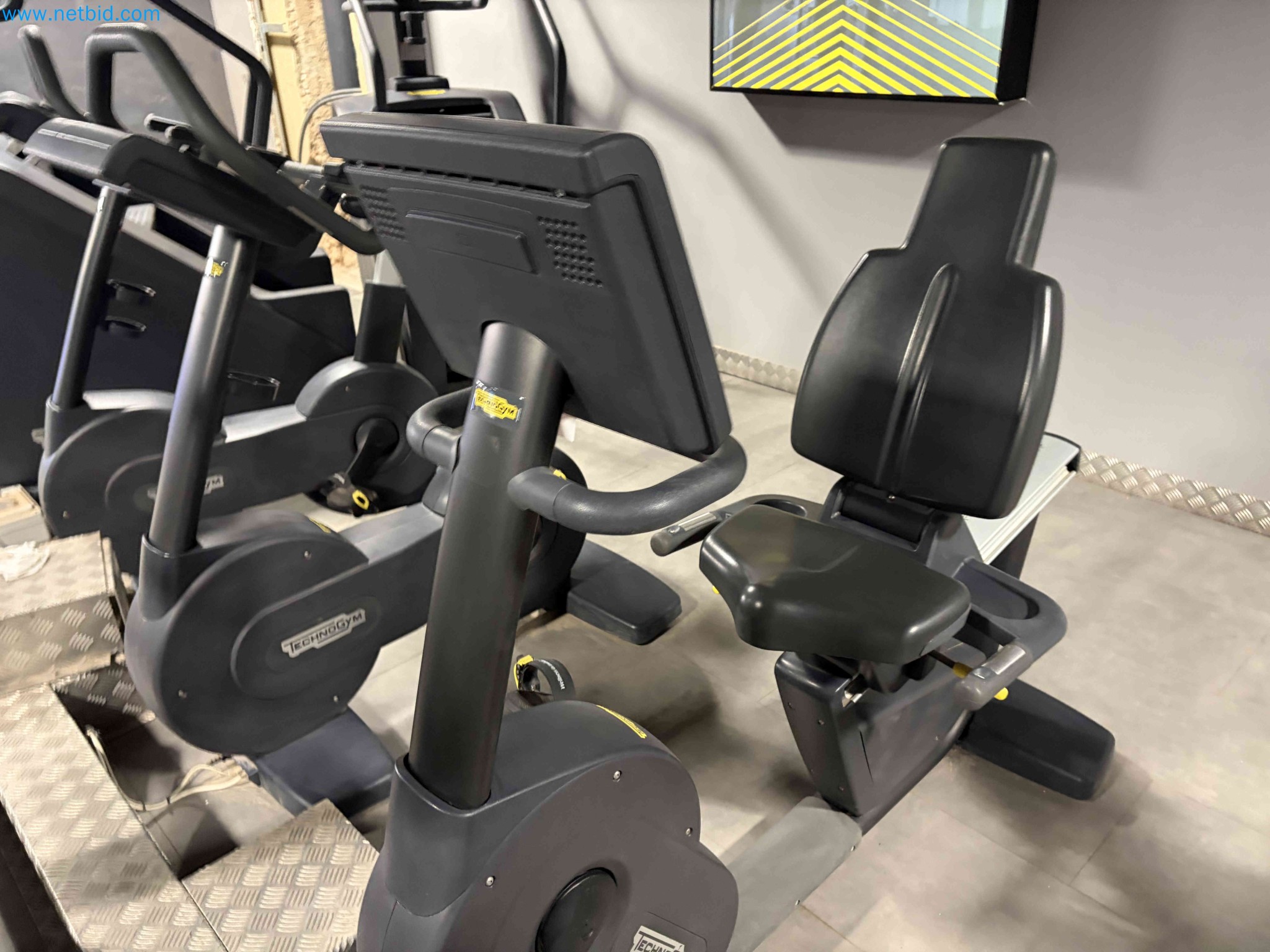 Auction of Used Technogym Gym Equipment – Professional Fitness Machines-2