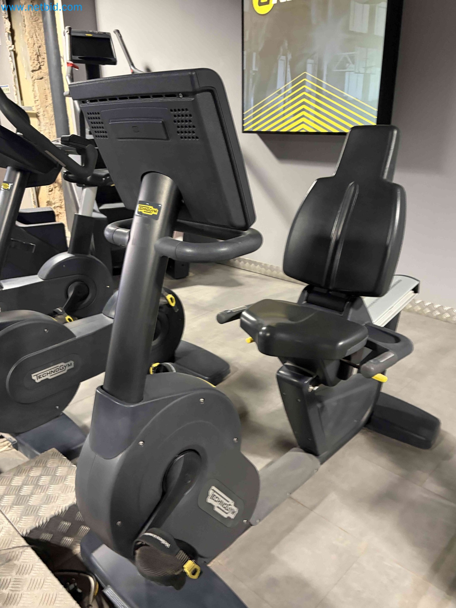 Auction of Used Technogym Gym Equipment – Professional Fitness Machines-3
