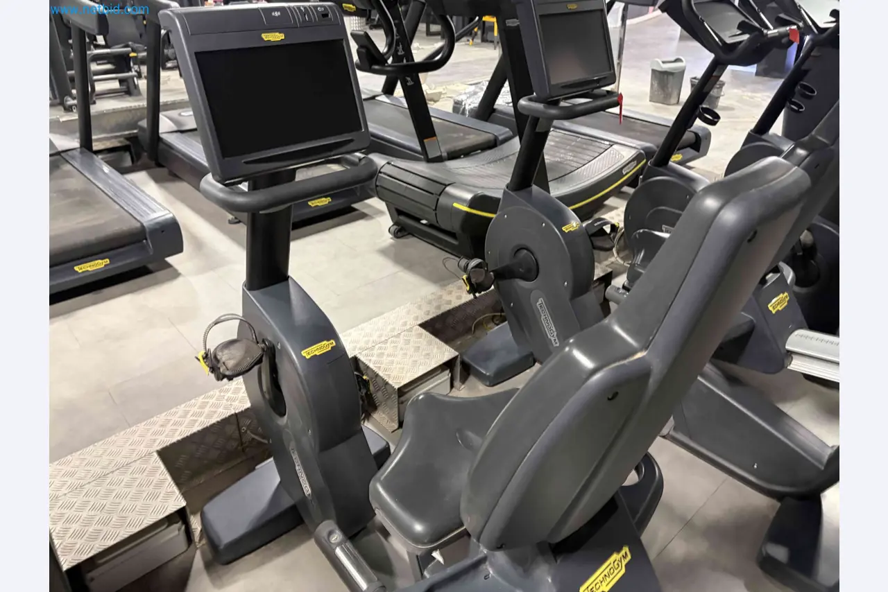 Dražba rabljene fitnes opreme Technogym - Profesionalna fitnes oprema-9
