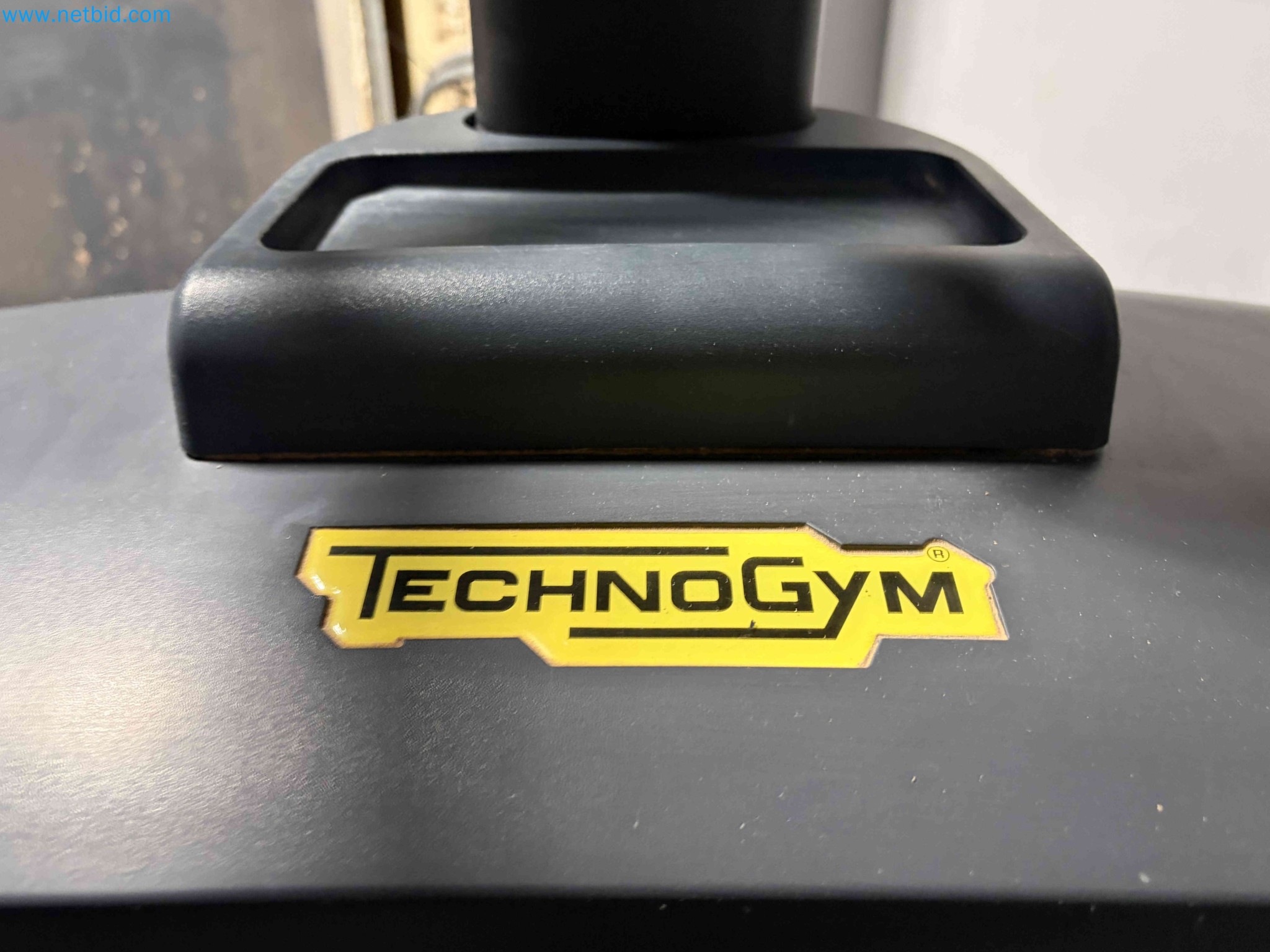 Auction of Used Technogym Gym Equipment – Professional Fitness Machines-5