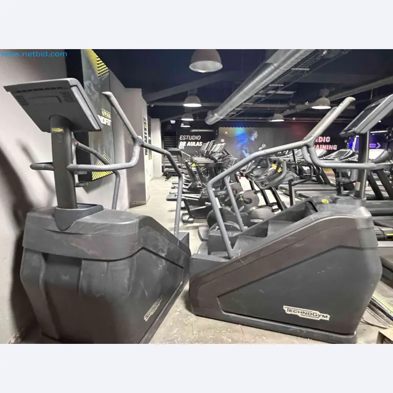 Aukcja używanego sprzętu fitness Technogym - Profesjonalny sprzęt fitness-7