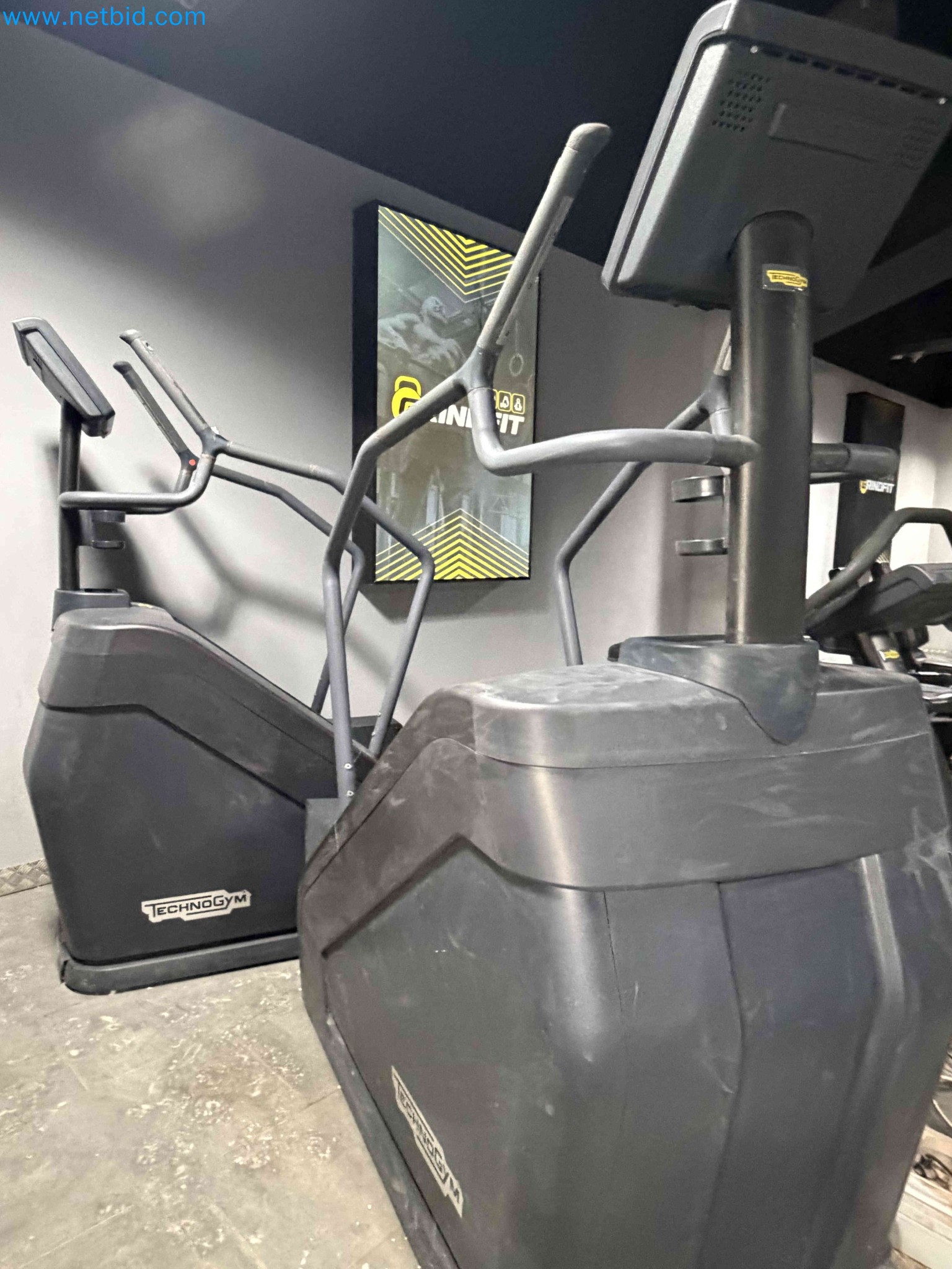 Auction of Used Technogym Gym Equipment – Professional Fitness Machines-8