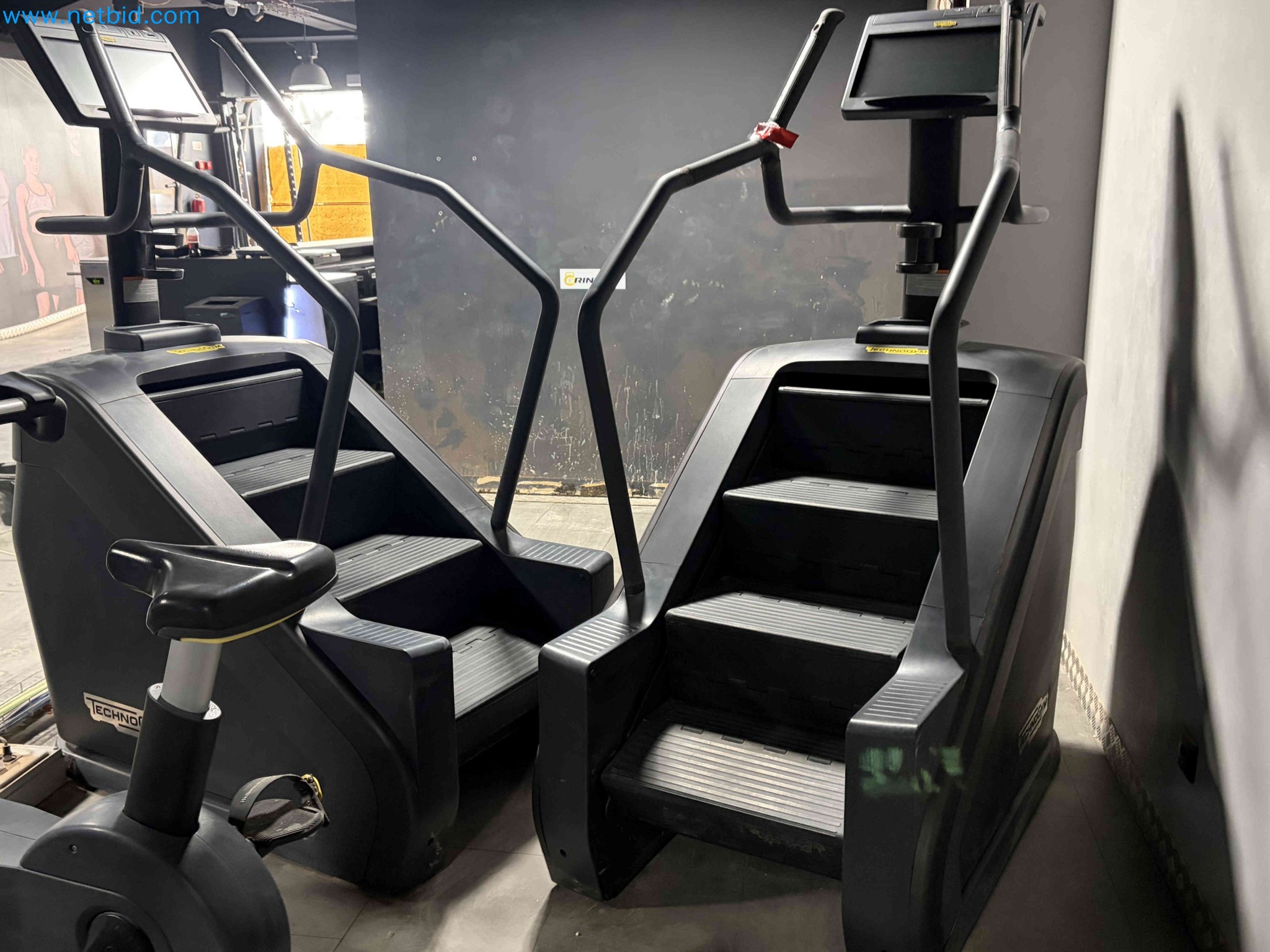 Auction of Used Technogym Gym Equipment – Professional Fitness Machines-2