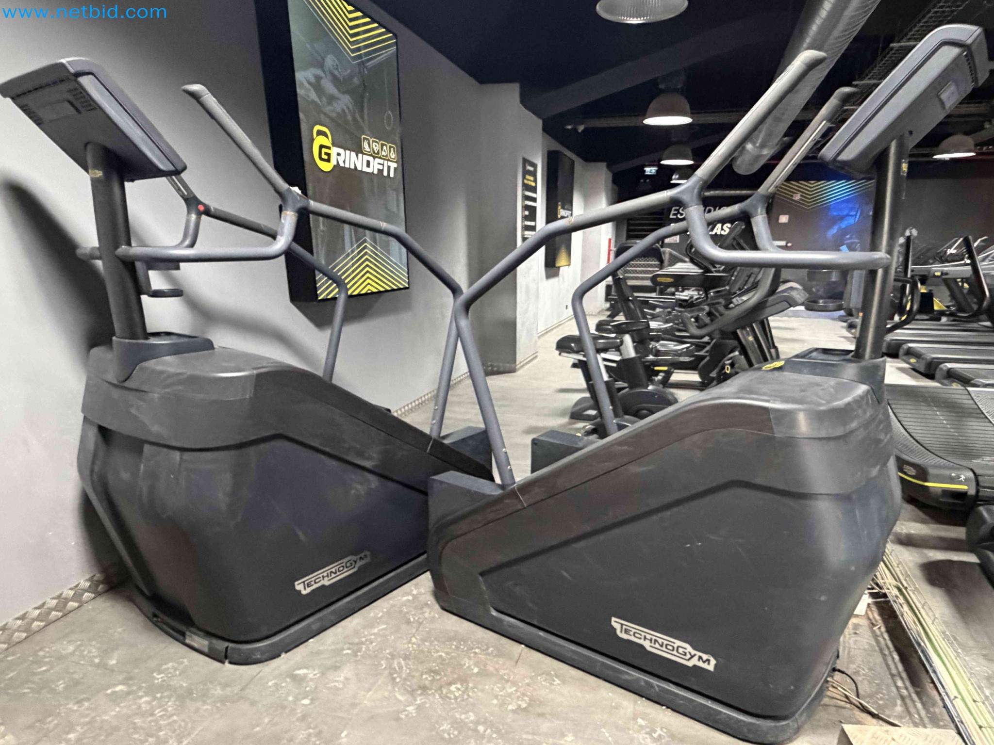 Auction of Used Technogym Gym Equipment – Professional Fitness Machines-6