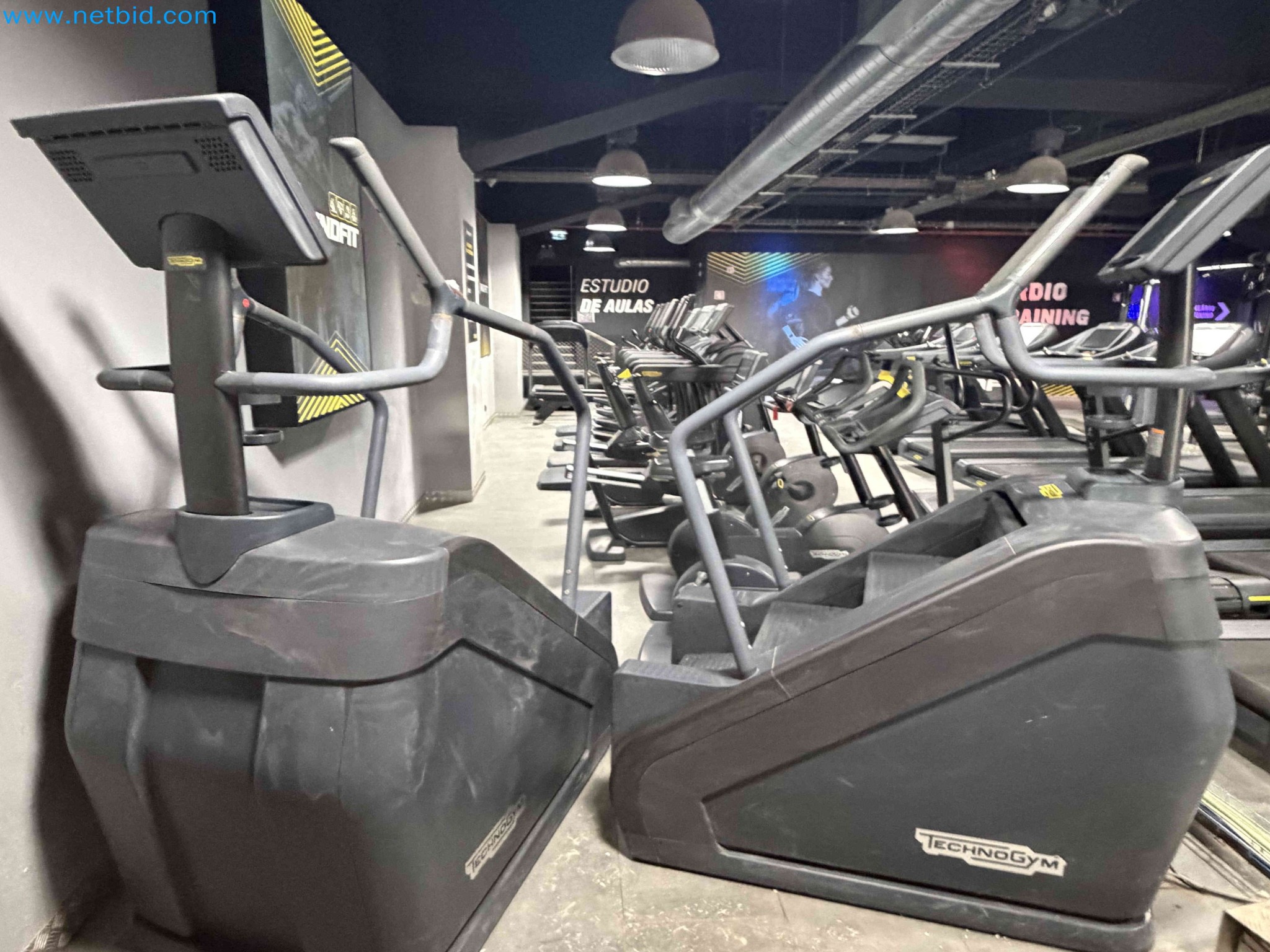 Auction of Used Technogym Gym Equipment – Professional Fitness Machines-7