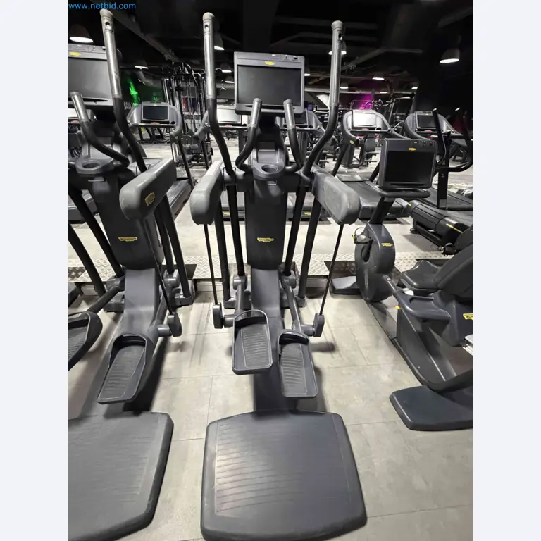 Dražba rabljene fitnes opreme Technogym - Profesionalna fitnes oprema-12