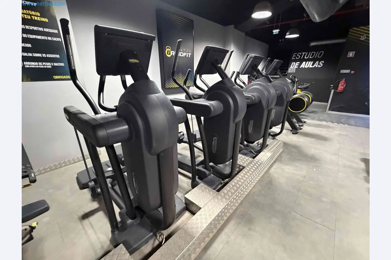 Dražba rabljene fitnes opreme Technogym - Profesionalna fitnes oprema-1