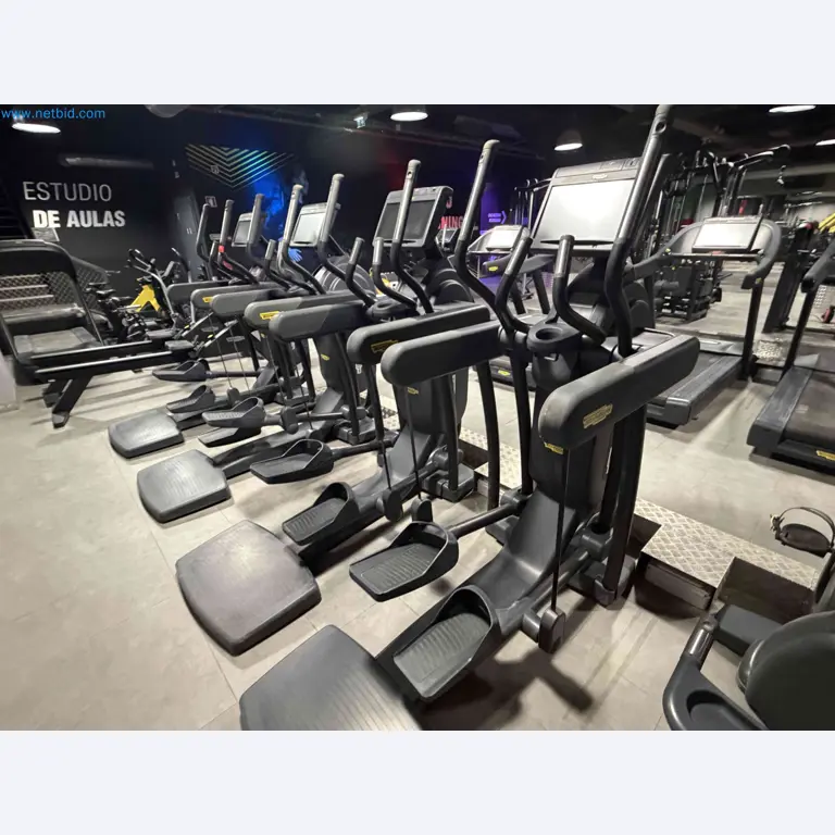 Dražba rabljene fitnes opreme Technogym - Profesionalna fitnes oprema-5