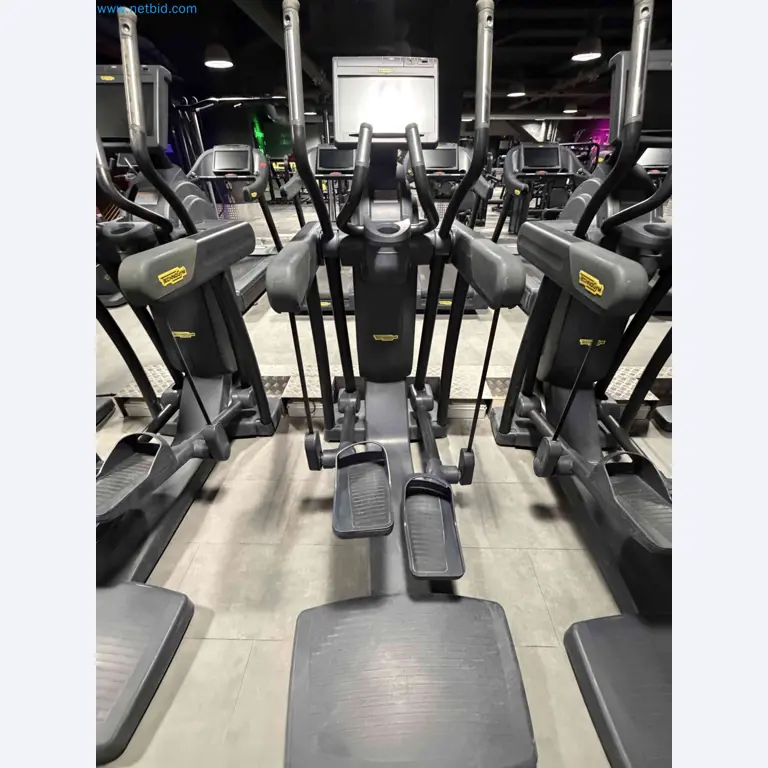 Auction of Used Technogym Gym Equipment – Professional Fitness Machines-11