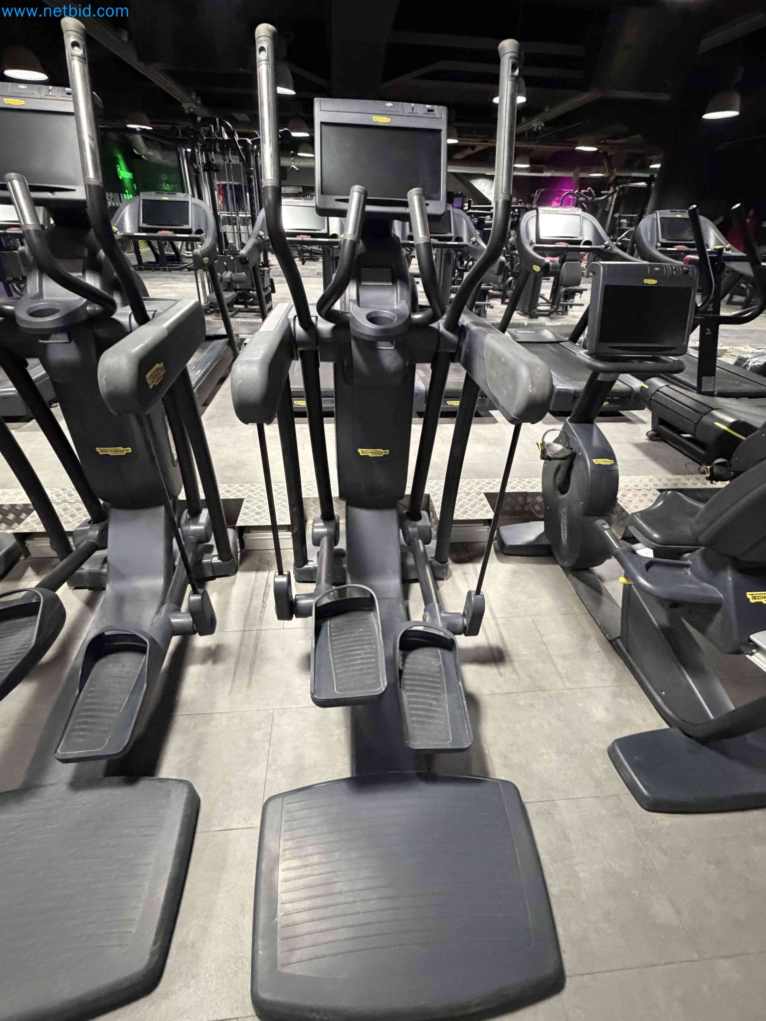 Auction of Used Technogym Gym Equipment – Professional Fitness Machines-12