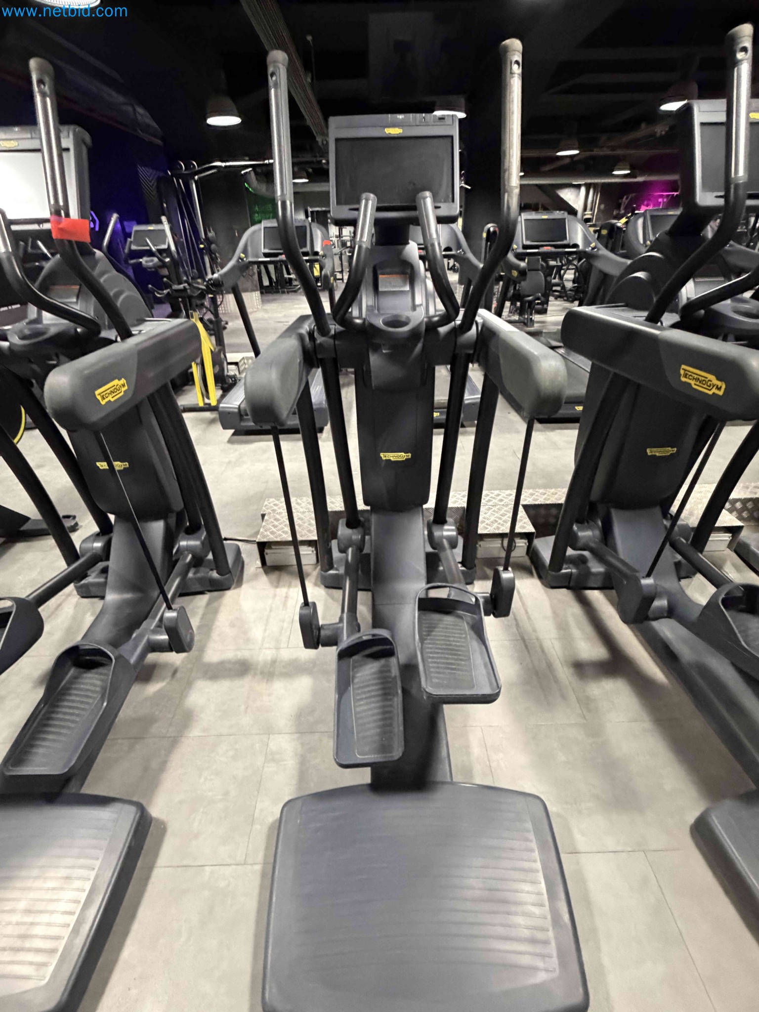 Auction of Used Technogym Gym Equipment – Professional Fitness Machines-10