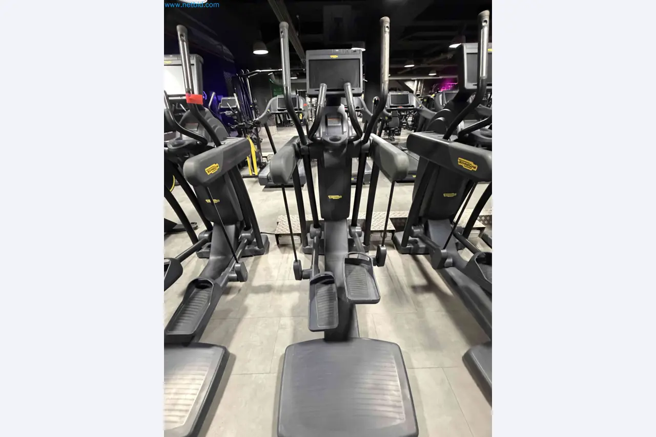Auction of Used Technogym Gym Equipment – Professional Fitness Machines-10