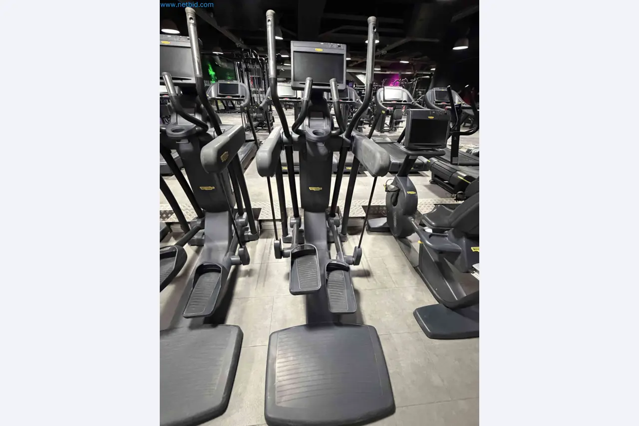 Auction of Used Technogym Gym Equipment – Professional Fitness Machines-12