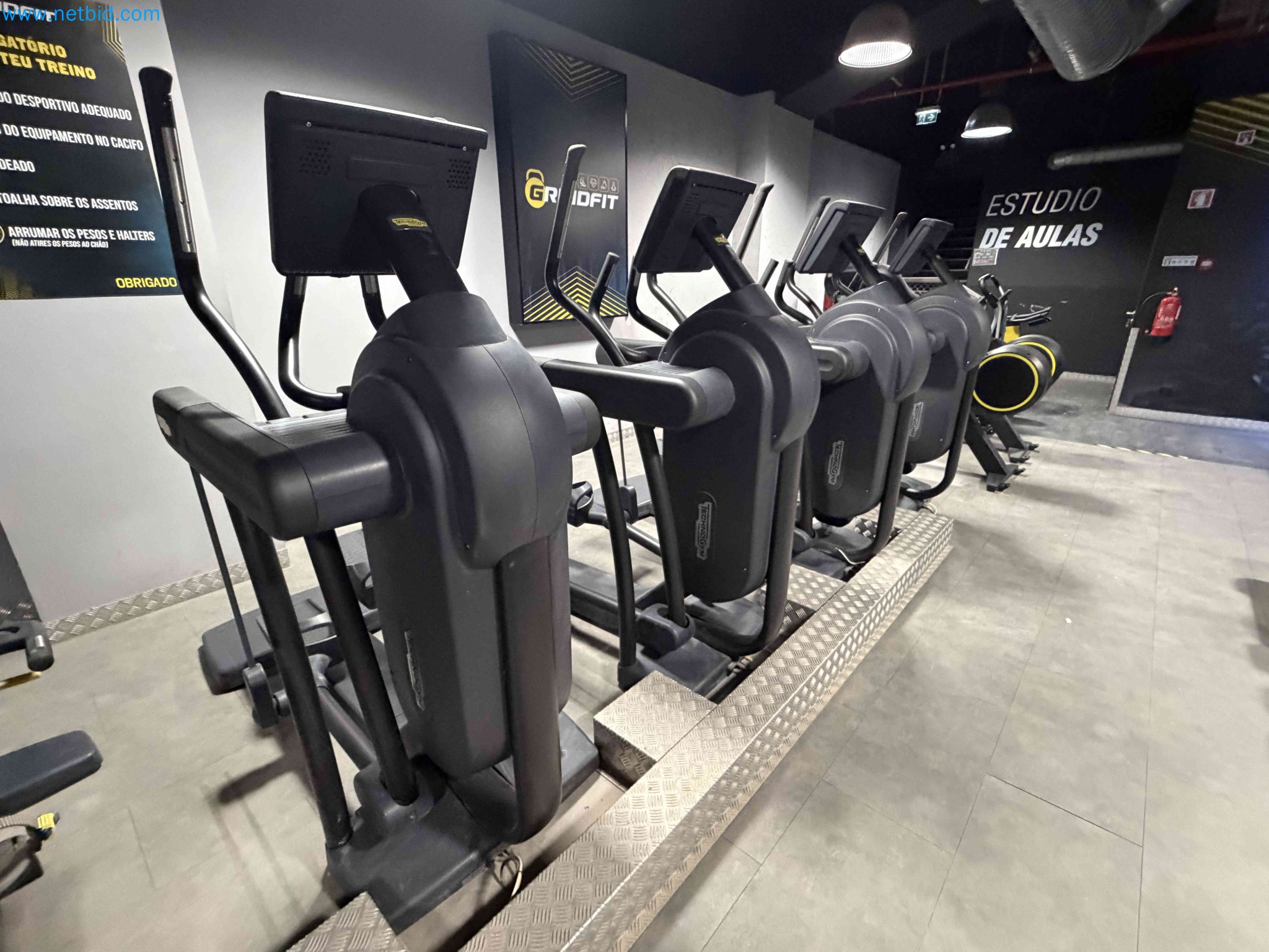 Auction of Used Technogym Gym Equipment – Professional Fitness Machines-1