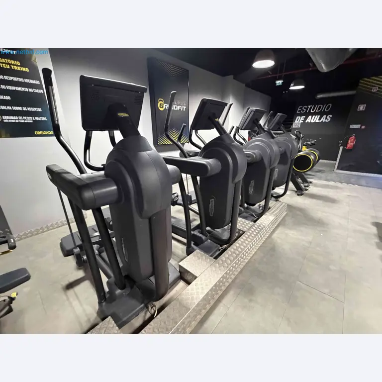 Auction of Used Technogym Gym Equipment – Professional Fitness Machines-1