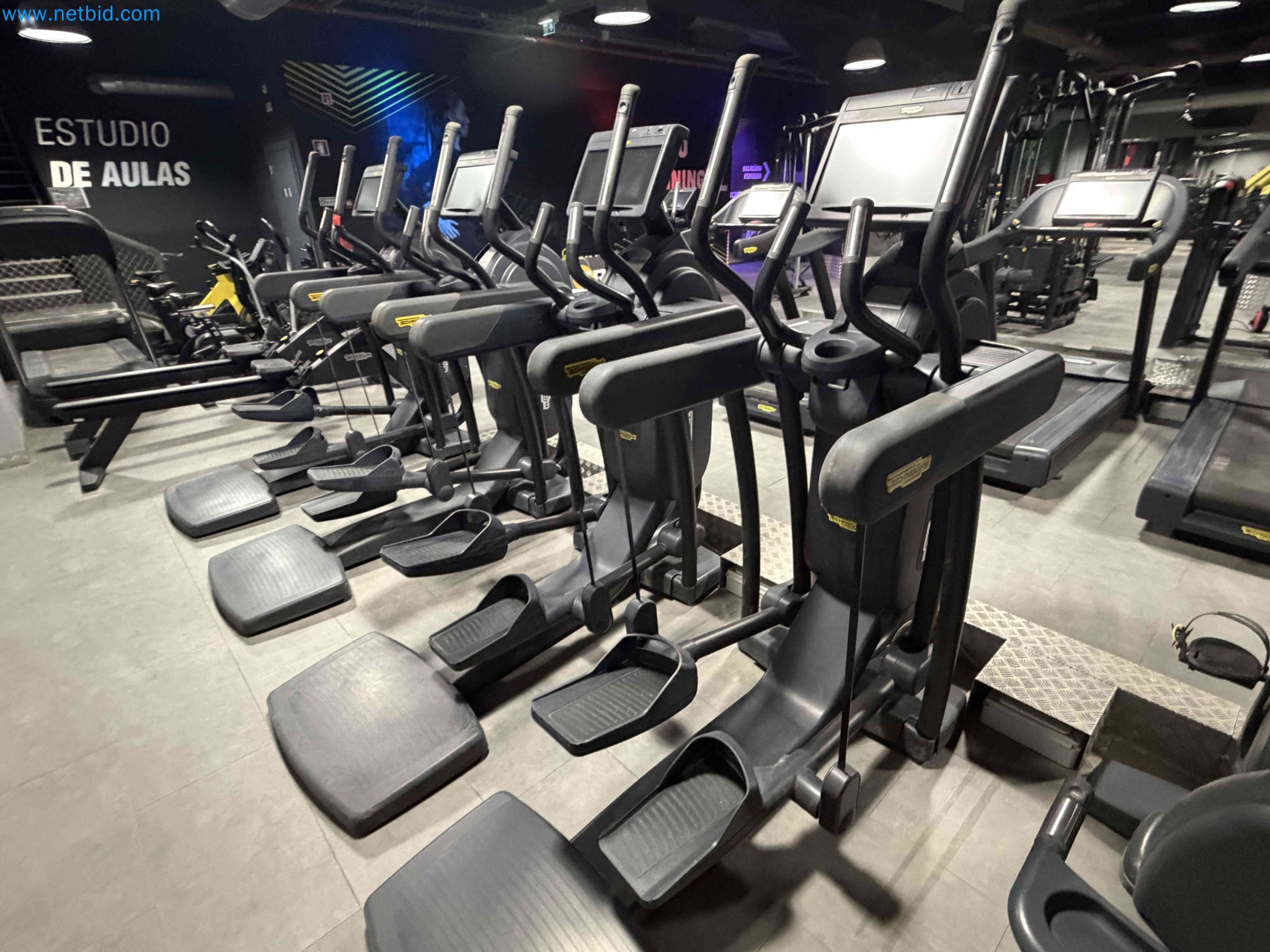 Auction of Used Technogym Gym Equipment – Professional Fitness Machines-5