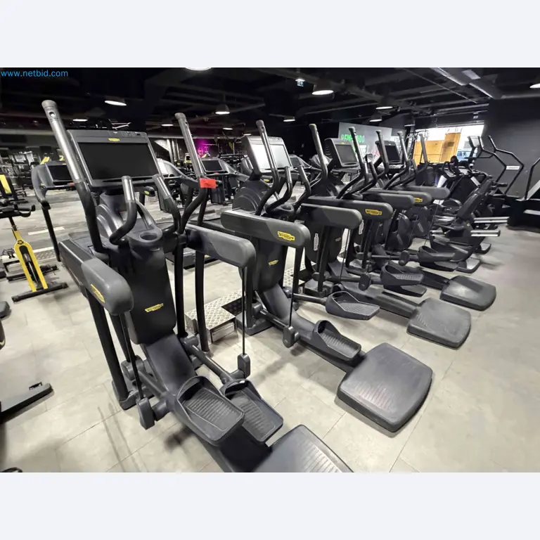 Auction of Used Technogym Gym Equipment – Professional Fitness Machines-17