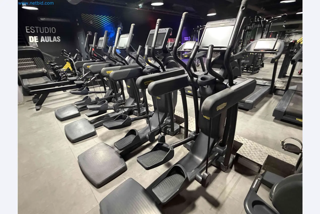 Auction of Used Technogym Gym Equipment – Professional Fitness Machines-5