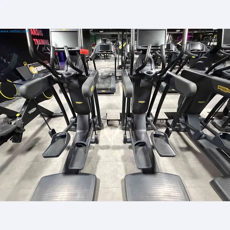 Auction of Used Technogym Gym Equipment – Professional Fitness Machines-6